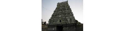 228. திருவெண்ணெய் நல்லூர்
